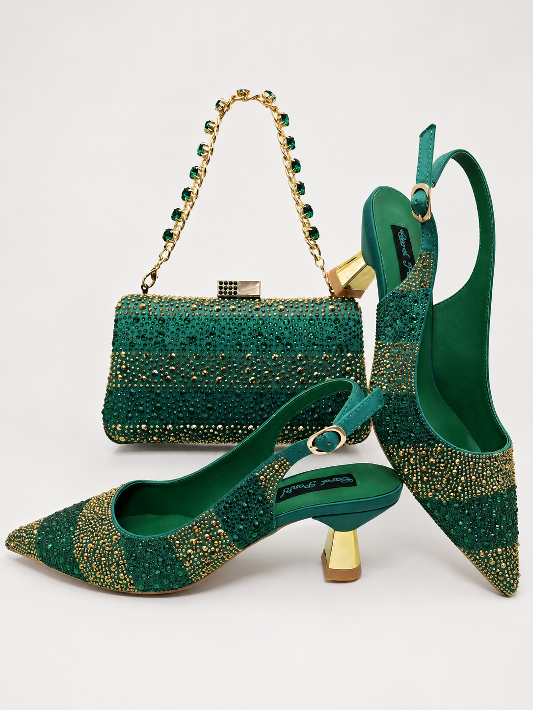 Zapatos y bolso -Emilia.